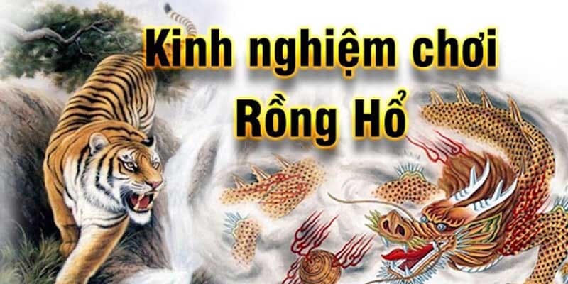 Tìm hiểu về trò chơi Dragon Tiger đình đám tại 78win